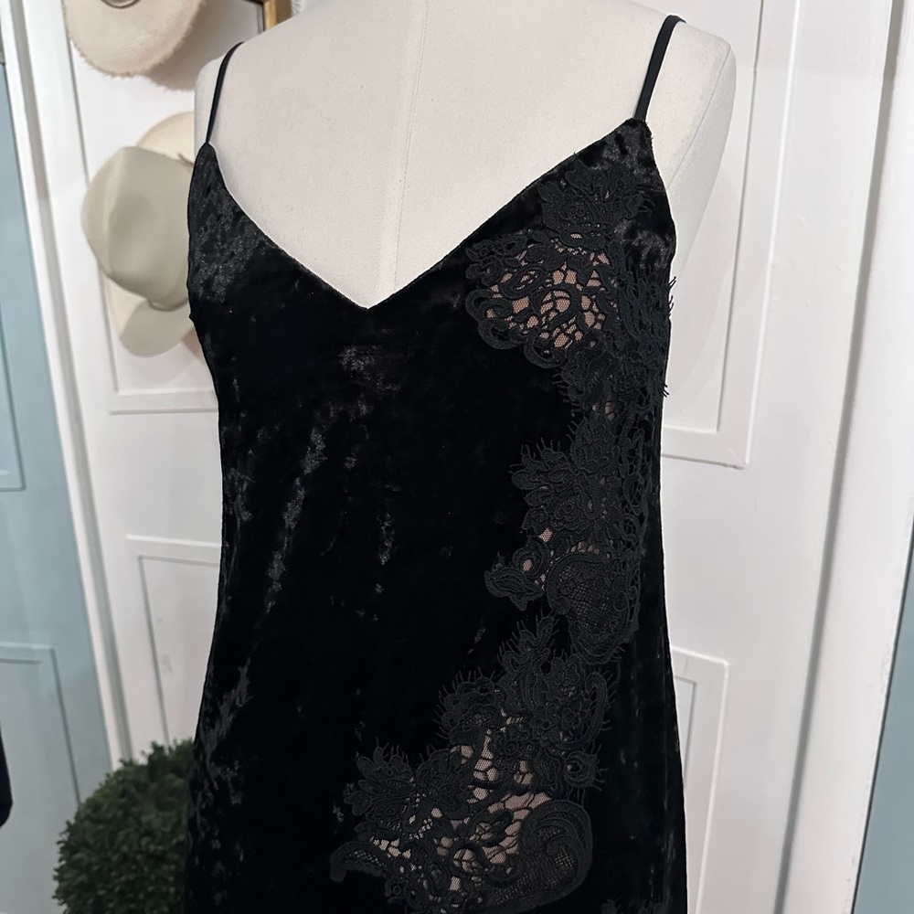 Bailey 44 Velvet Lace Dress - Picture 7 of 10